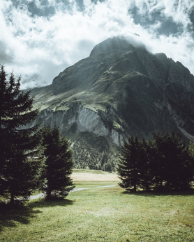 Plateau de l'A Neuve, Val Ferret, Switzerland